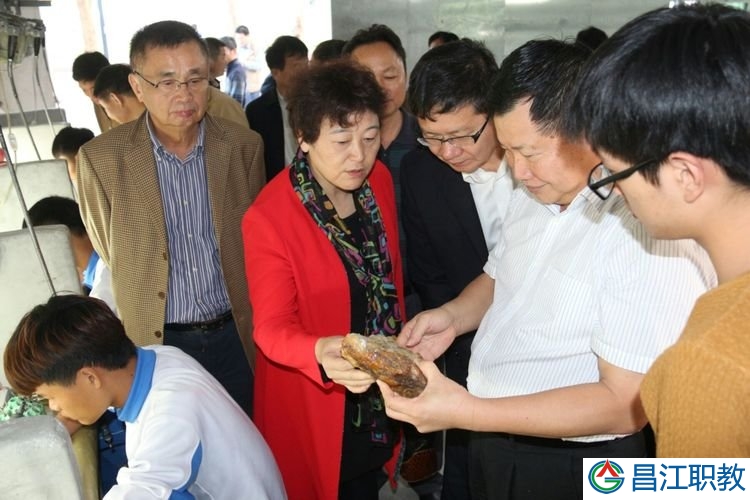省政协领导莅临昌江县职业教育中心调研(图2) 省政协领导莅临昌江县职业教育中心调研(图2)